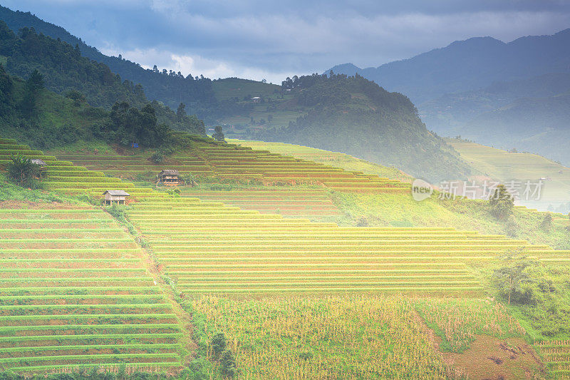 美丽的风景，绿色的稻田准备在越南西北部的梯田日落山在木仓寨，Yen Bai，越南